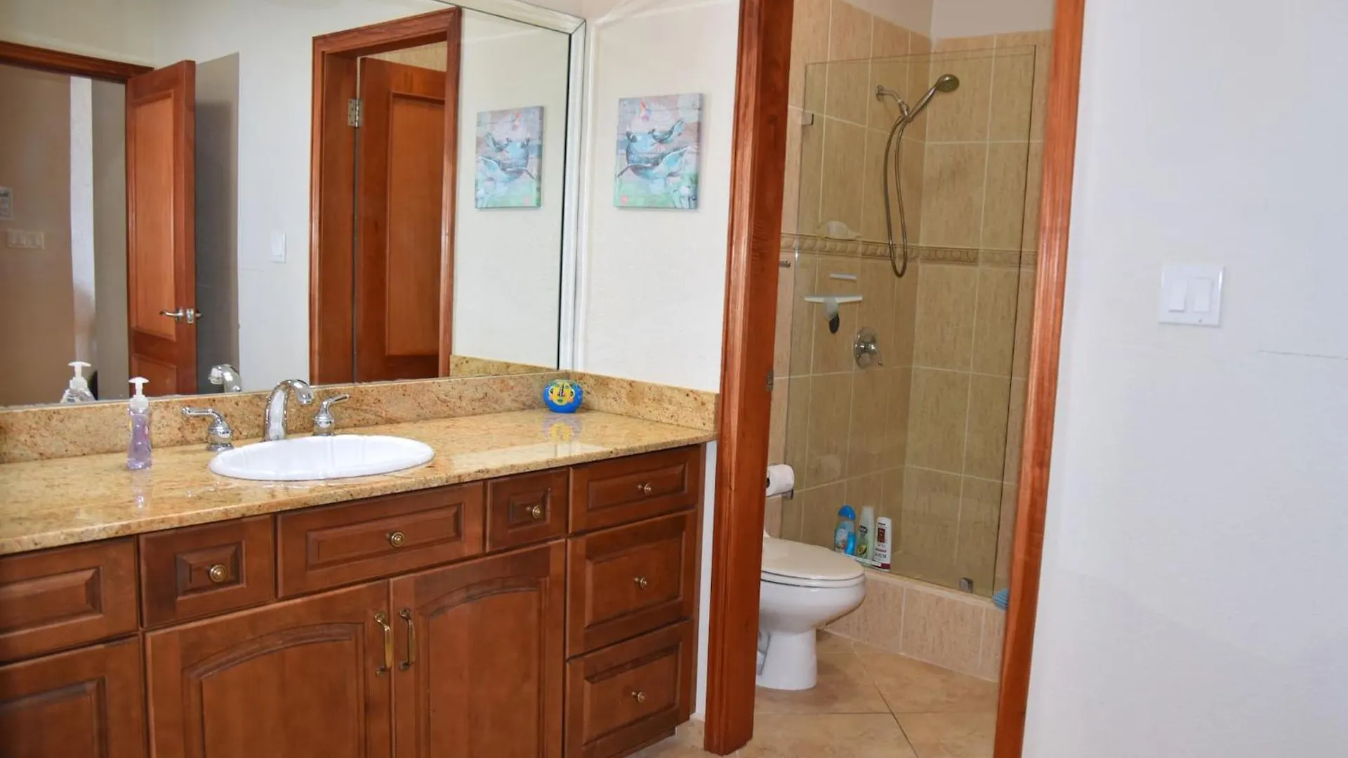 Oceanfront Paradise: Penthouse With Peloton Cupecoy  Cupecoy (Sint Maarten)